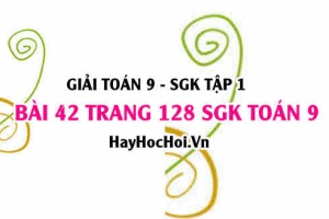 Giải bài 42 trang 128 SGK Toán 9 tập 1